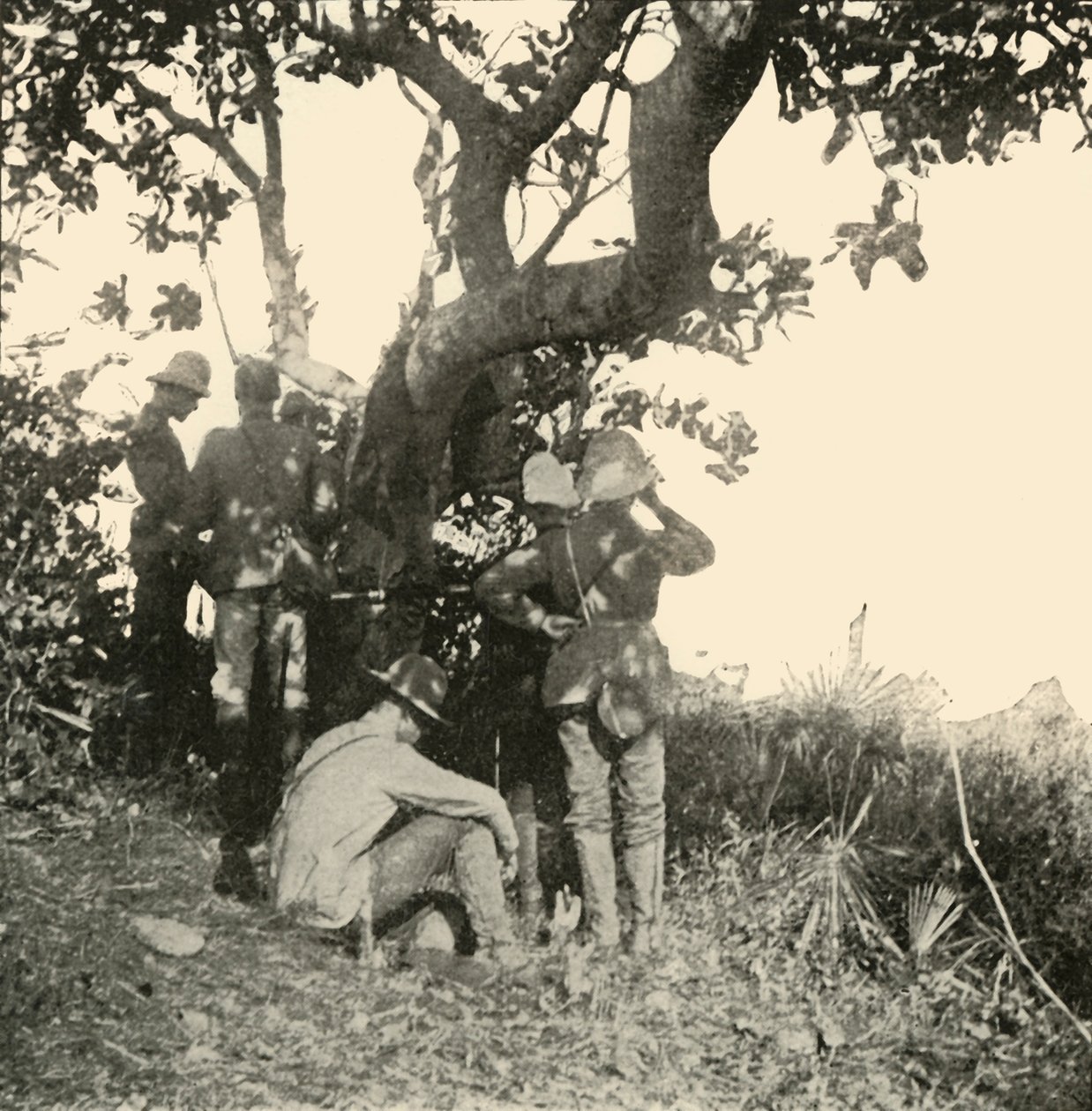 Drzewo, z którego kapitan Paget... widział... bitwę pod San Juan, wojna hiszpańsko-amerykańska, czerwiec 1898, 1899. autorstwa Burr McIntosh