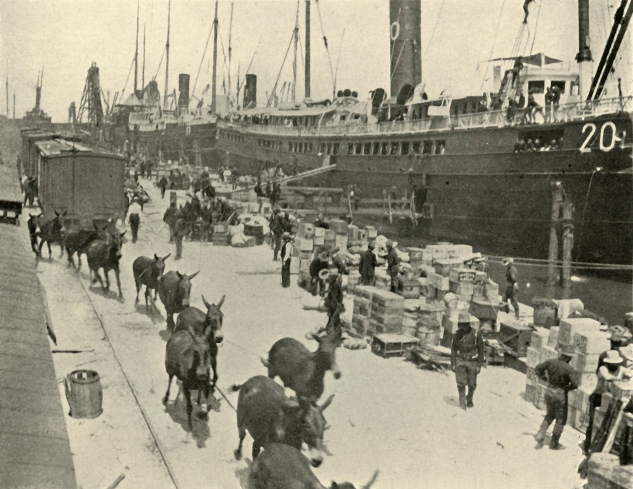 Troopships w Port Tampa na Florydzie, USA, wojna hiszpańsko-amerykańska, 10 czerwca 1898, 1899. autorstwa Burr McIntosh
