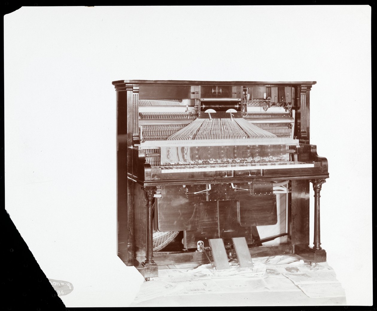 Pianino firmy Ricca and Son Piano Co., 1907 (srebrny odbitka żelatynowa) autorstwa Byron Company