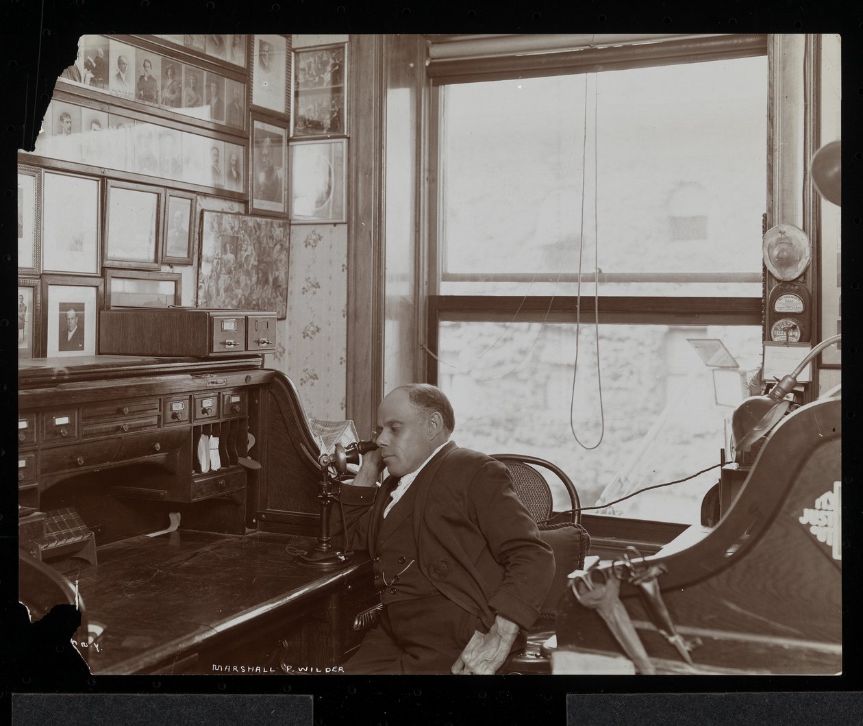 Marshall P. Wilder w telefonie w swoim gabinecie, 1898-99 (srebrny odbitka żelatynowa) autorstwa Byron Company