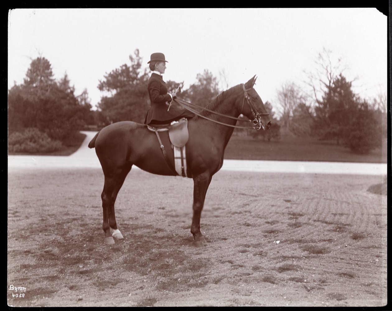Portret pani Beach pozowanej na koniu na ścieżce konnej w Central Parku, 1898 (srebrny odbitka żelatynowa) autorstwa Byron Company