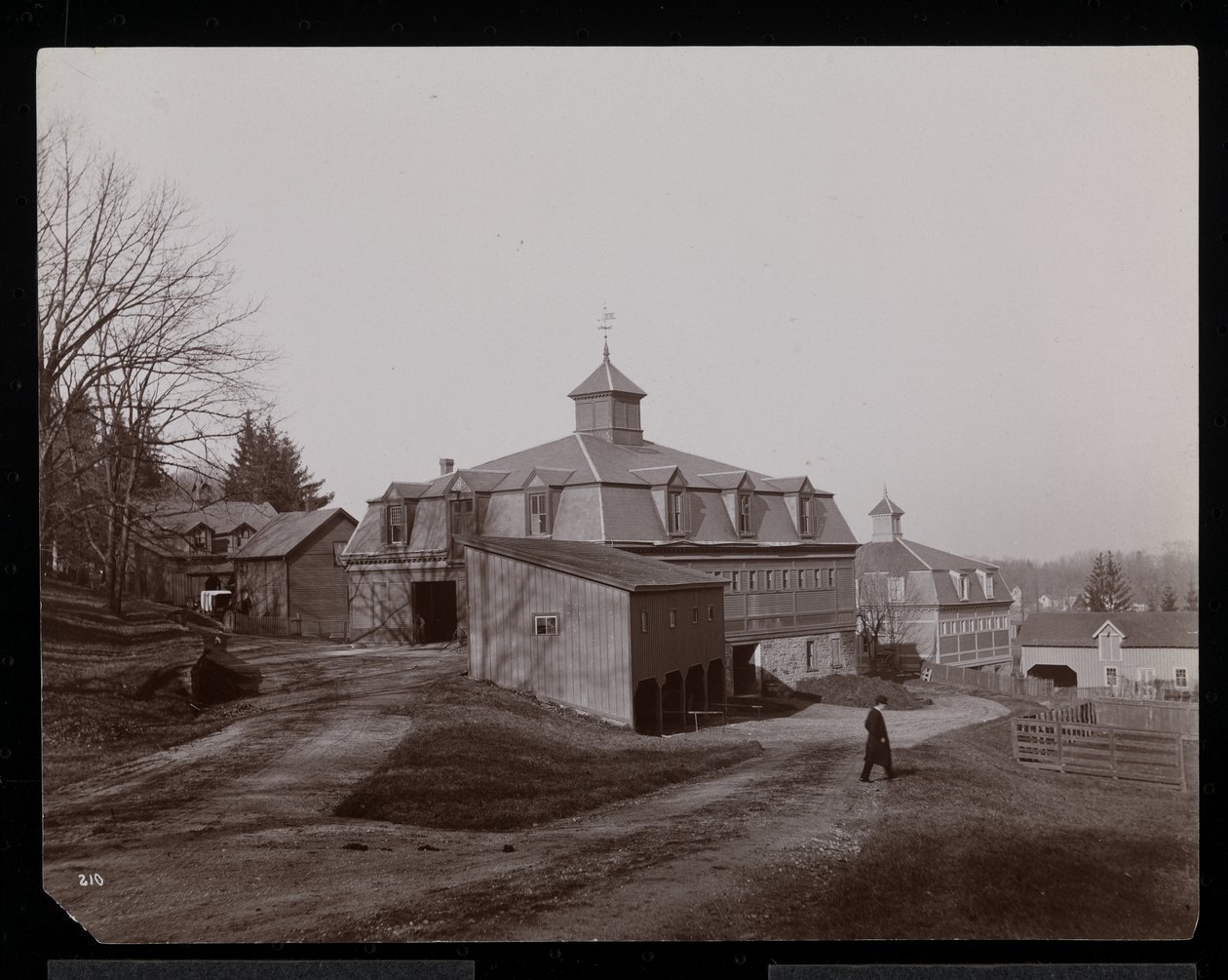 Stajnie posiadłości Edwina Goulda w Rhinecliffe lub Rhinebeck, 1893-94 (srebrny odbitka żelatynowa) autorstwa Byron Company