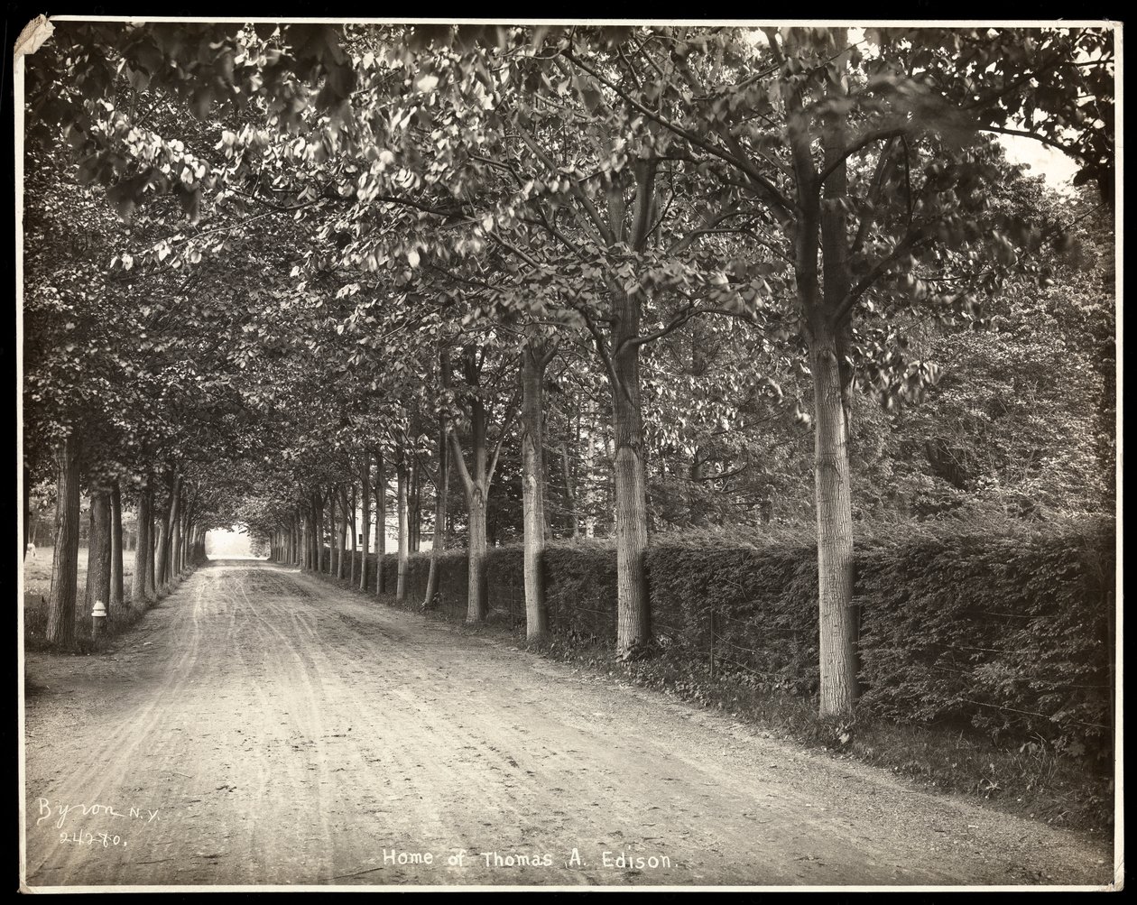 Wysadzany drzewami dysk w domu Thomasa Edisona, 1907 (srebrny odbitka żelatynowa) autorstwa Byron Company