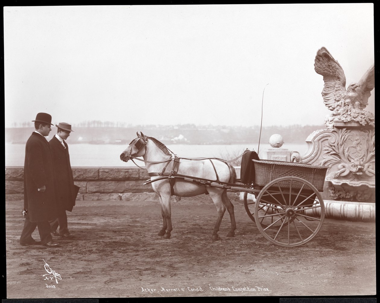 Dwóch mężczyzn, kucyk i wózek, Nowy Jork, 1910 lub 1911 (srebrny odbitka żelatynowa) autorstwa Byron Company
