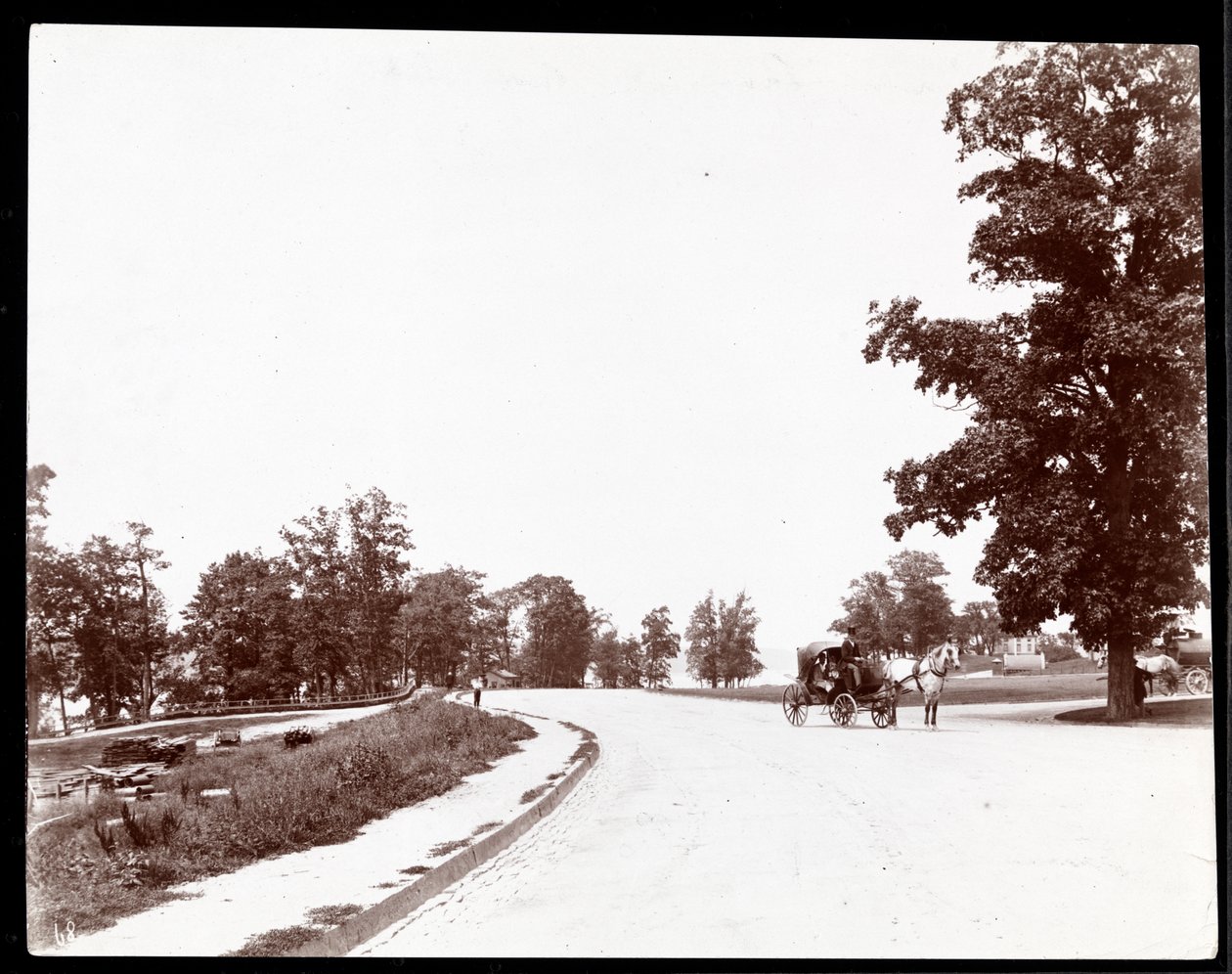 Widok bryczki konnej na Riverside Drive, Nowy Jork, ok. 1893 (srebrny odbitka żelatynowa) autorstwa Byron Company