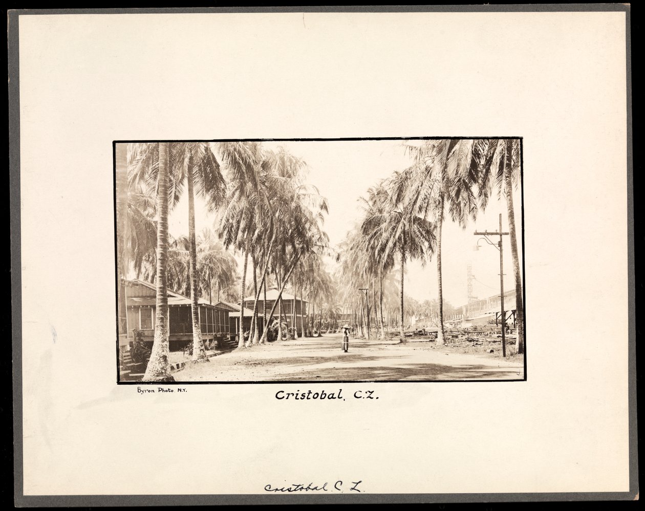 Widok wysadzanej palmami polnej drogi przez Cristobal, Panama, podczas budowy kanału, 1912 lub 1913 (srebrny odcisk żelatynowy) autorstwa Byron Company