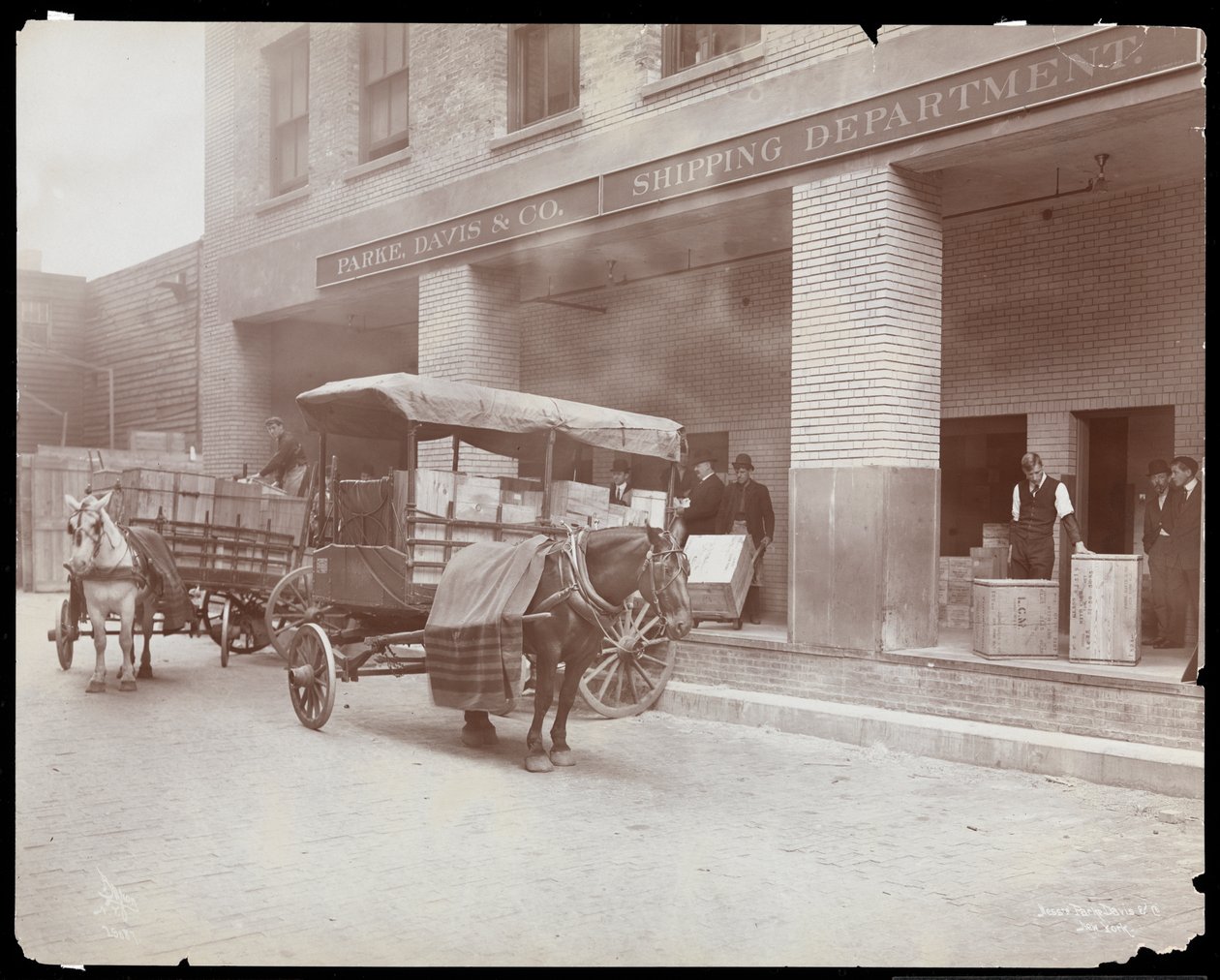 Widok rampy załadunkowej działu spedycji w Parke, Davis und Co., chemicy, Hudson und Vestry Streets, Nowy Jork, 1910 (srebrny odbitka żelatynowa) autorstwa Byron Company
