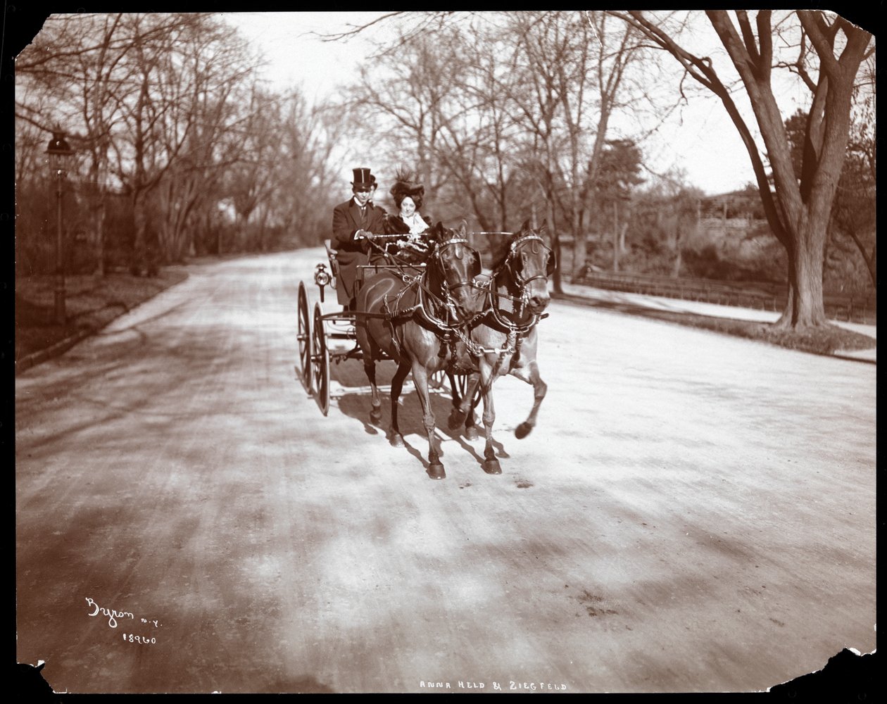 Anna Held i Florenz Ziegfeld prowadzący dorożkę, Nowy Jork, 1904 (srebrny odbitka żelatynowa) autorstwa Byron Company