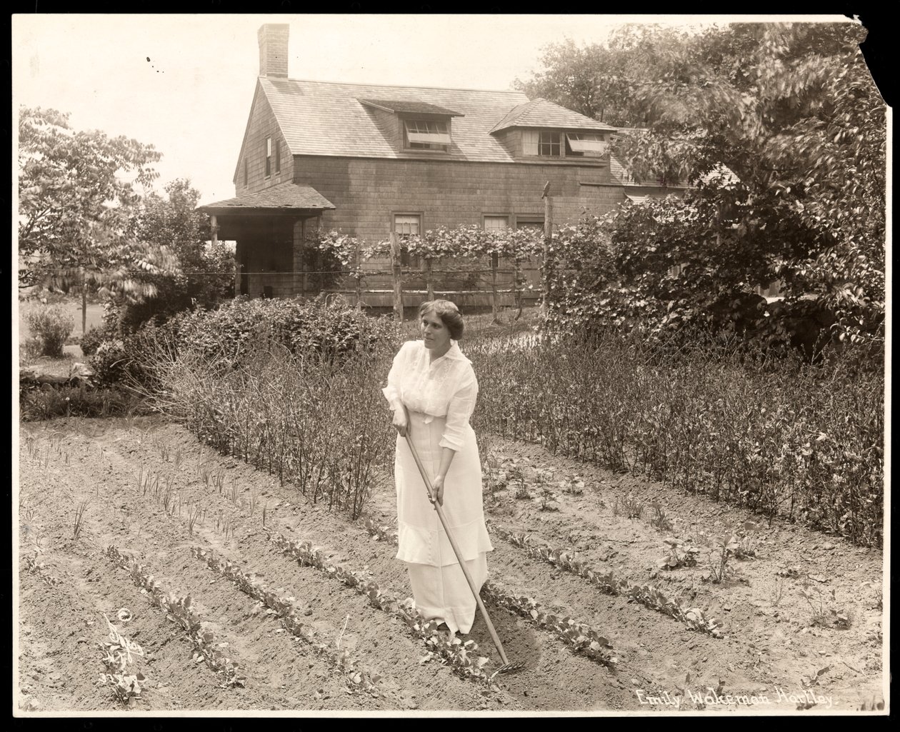 Emily Wakeman Hartley, ok. 1913 (srebrny odbitka żelatynowa) autorstwa Byron Company