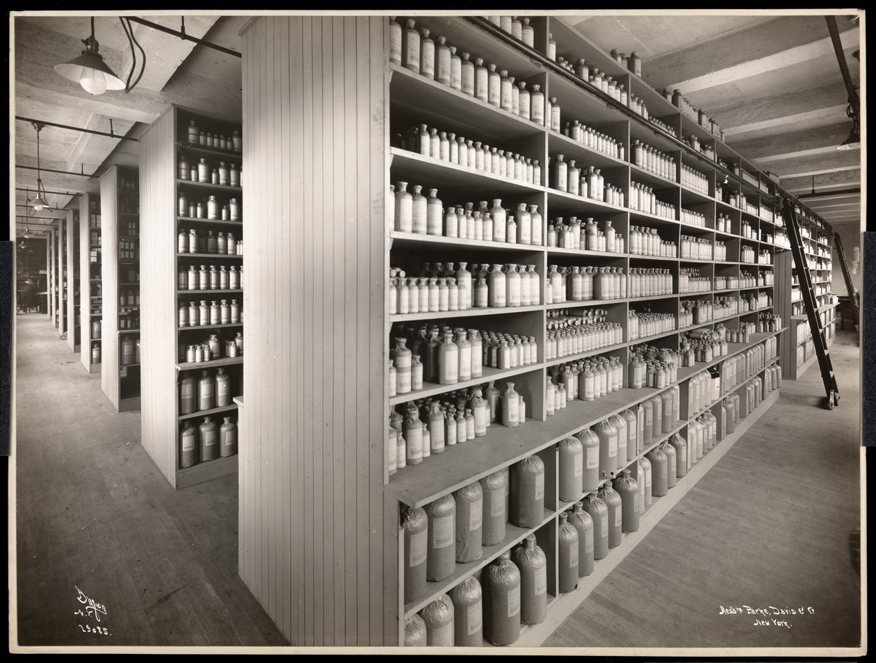 Widok wnętrza magazynu chemicznego w Parke, Davis und Co., chemicy, Hudson und Vestry Streets, Nowy Jork, 1910 (srebrny odbitka żelatynowa) autorstwa Byron Company