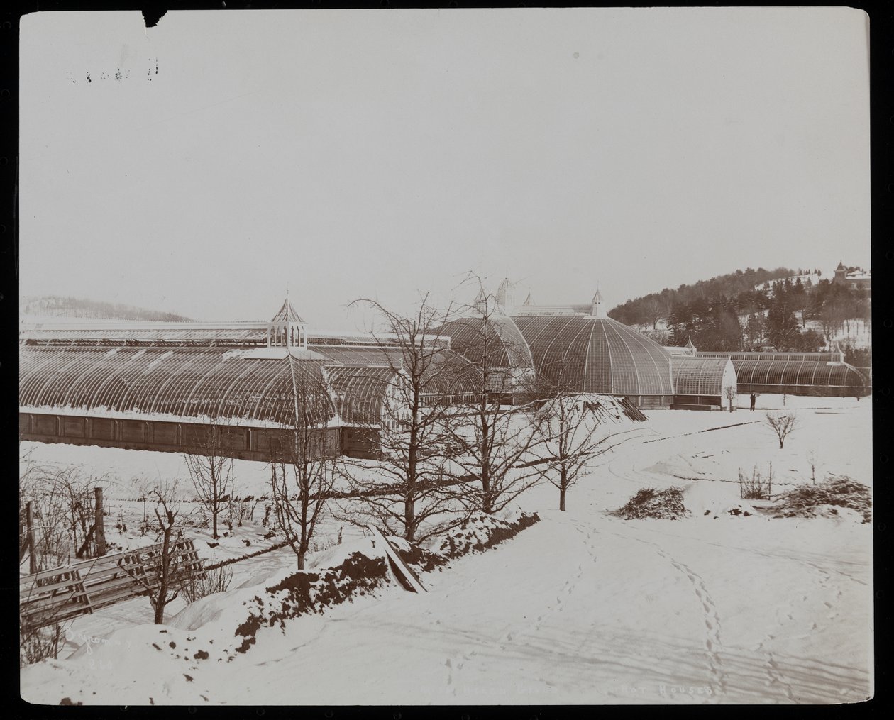 Szklarnie w śniegu w posiadłości Helen Gould (rezydencja zmarłego Jaya Goulda) w Tarrytown, Nowy Jork, 1894 (srebrny odbitka żelatynowa) autorstwa Byron Company