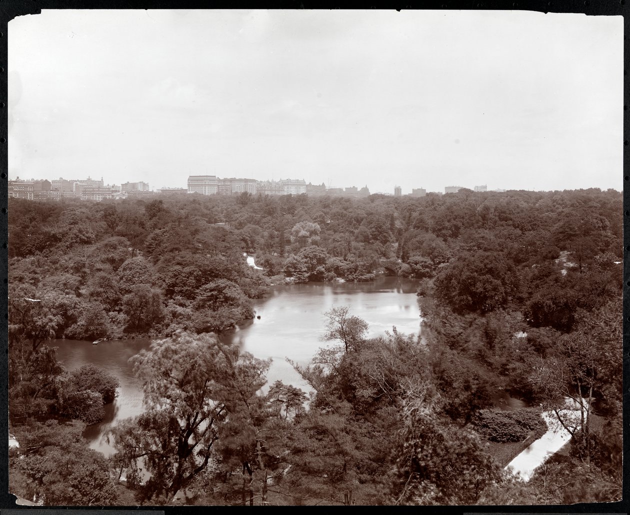 Widok na Central Park z hotelu Plaza, 5th Avenue i 59th Street, Nowy Jork, 1907 (odbitka żelatynowa) autorstwa Byron Company