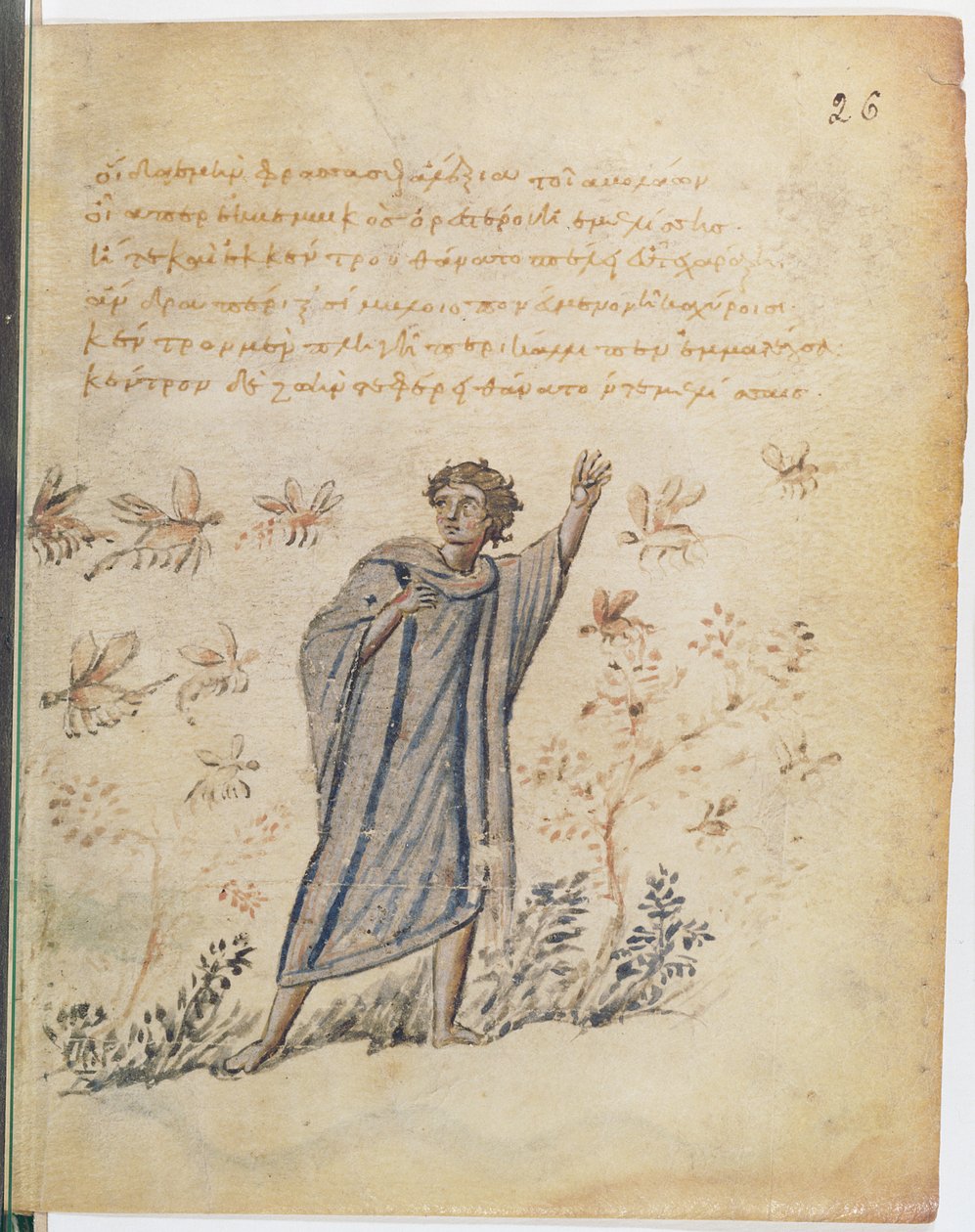 Ms Supp Grec 247 fol.3 Człowiek uciekający przed pszczołami, ilustracja z Theriaca z Nicander z Kolofonu (fl.II w. p.n.e.) autorstwa Byzantine