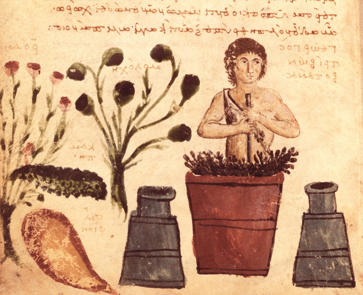 Ms Supp Grec 247 fol.5 Chłop przygotowujący maść chroniącą przed wężami, z Theriaca Nikandera z Kolofonu (fl.II w. p.n.e.) autorstwa Byzantine