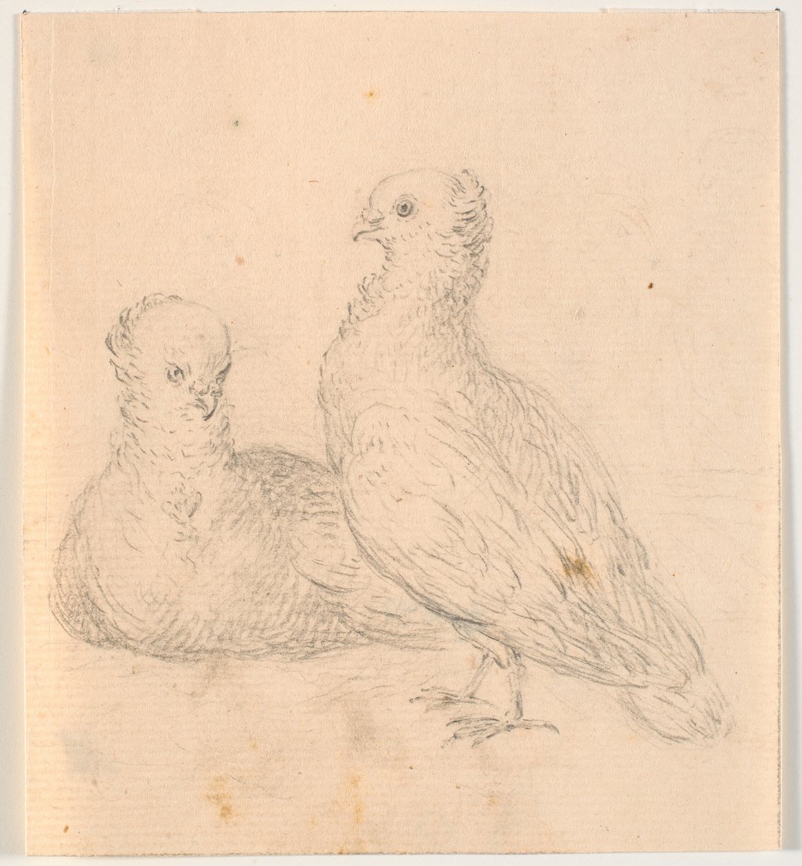 Do duer autorstwa C.A. Lorentzen