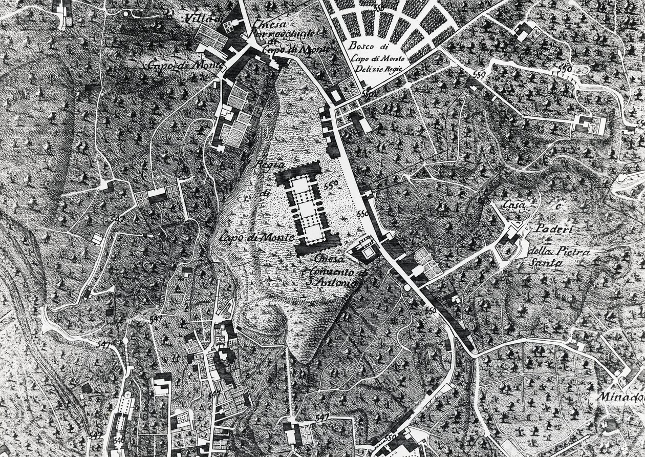 Plan miasta Neapolu z Capodimonte, szczegół z mapy Duke Of Noja autorstwa J.B. and Brown J. Rowbotham
