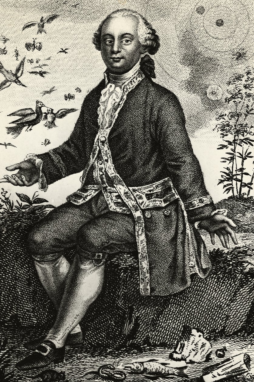 Portret Georgesa-Louisa Leclerca de Buffona (1707-1788), francuskiego przyrodnika i matematyka, grawerowanie autorstwa J.B. and Brown J. Rowbotham