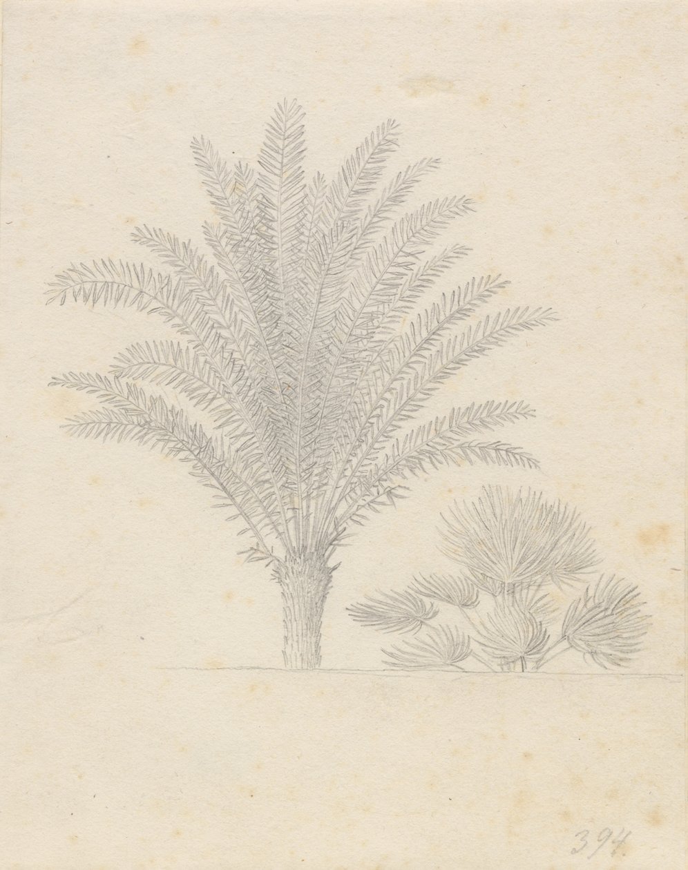Grupa palm i liści autorstwa Christoffer Wilhelm Eckersberg