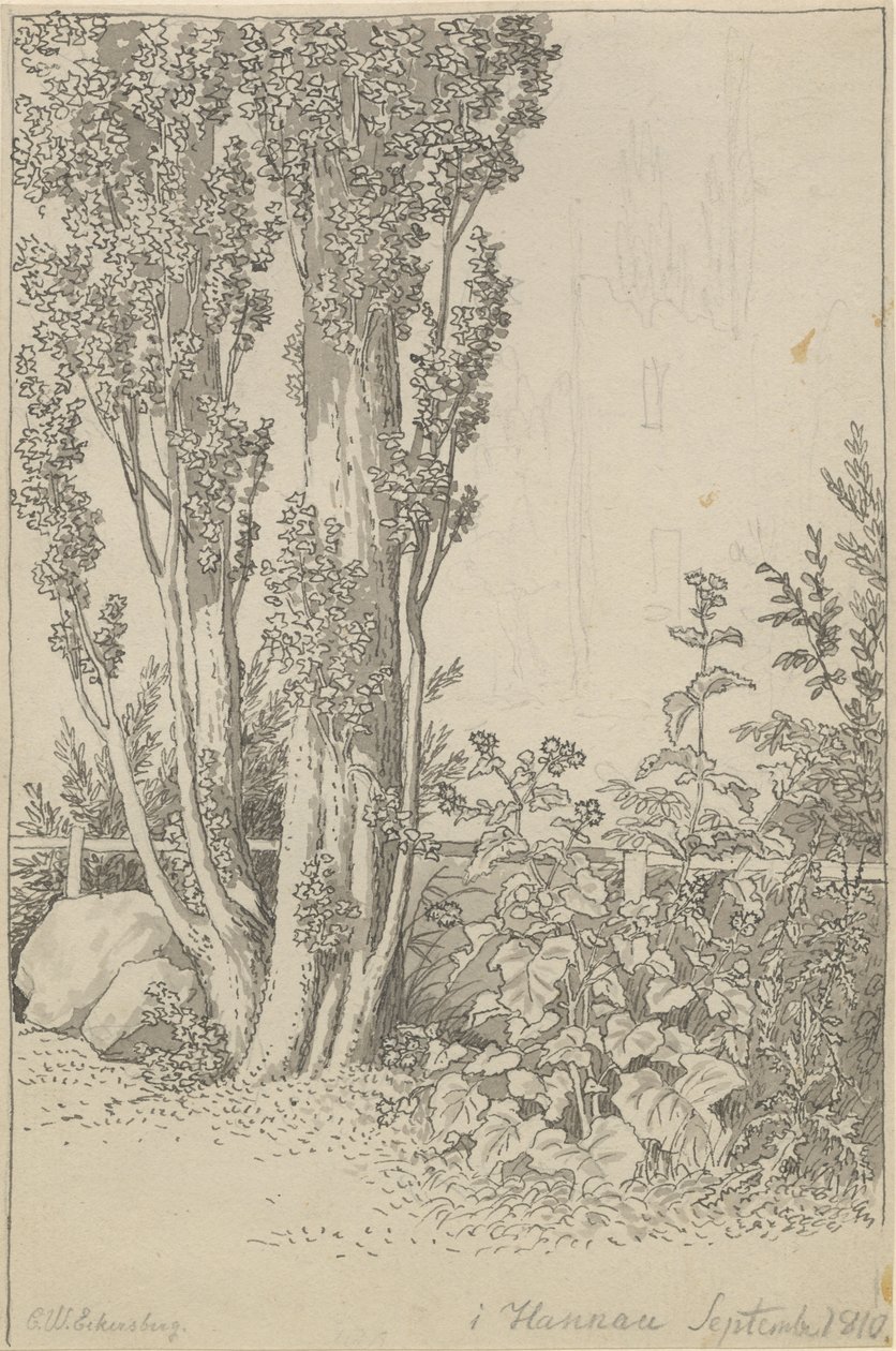 Topole i dzikie porosty w Hanau autorstwa Christoffer Wilhelm Eckersberg