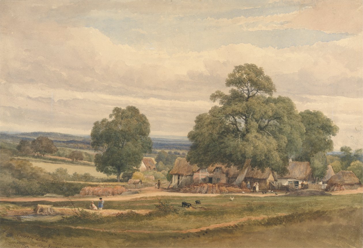 Emerey Down niedaleko Lyndhurst, New Forest, Hants autorstwa C. John M. Whichelo