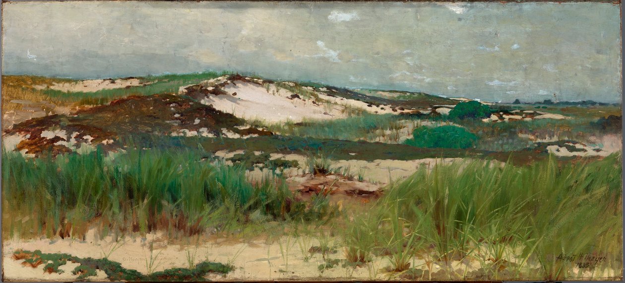 Wydma piaskowa Nantucket autorstwa C. Morgan McIlhenney