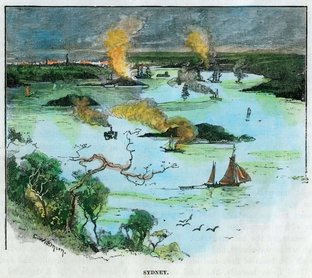 Sydney, Nowa Południowa Walia, Australia, ok. 1885. autorstwa C. Wilkinson