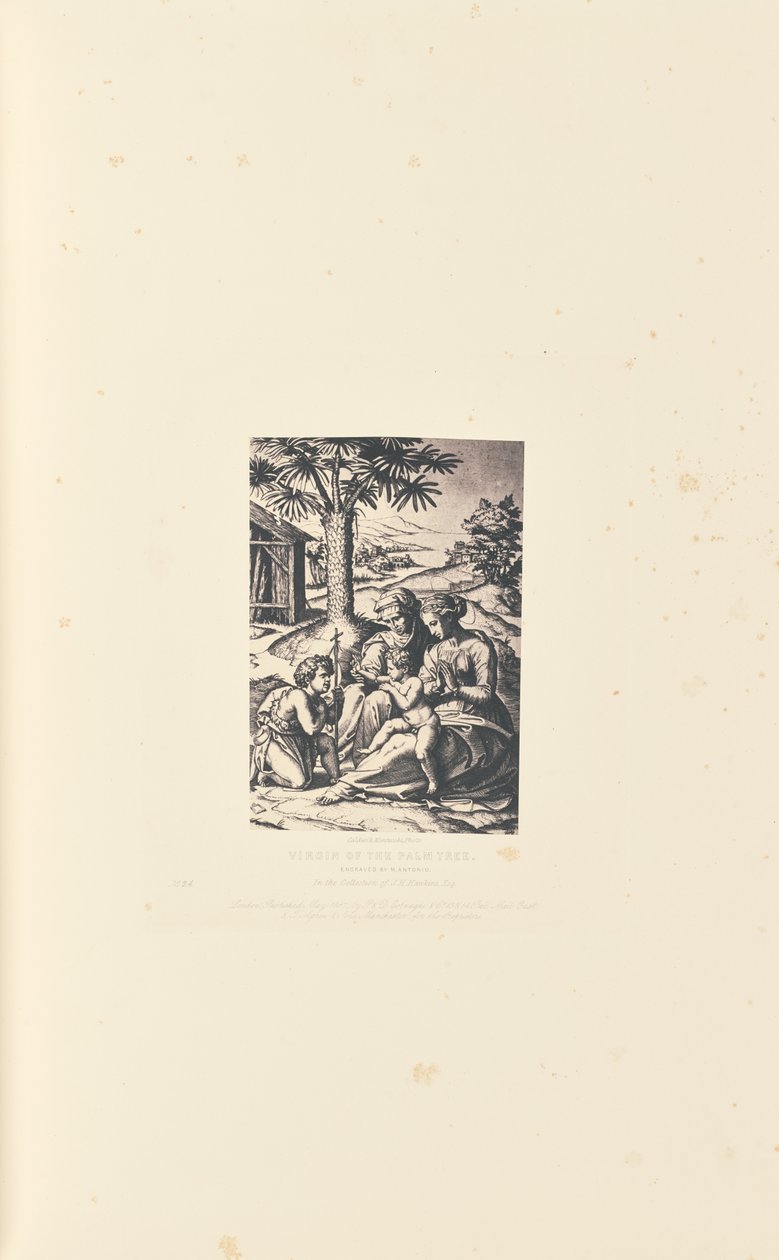 Dziewica z drzewa palmowego, grawerowana przez M. Antonio autorstwa Caldesi and Montecchi