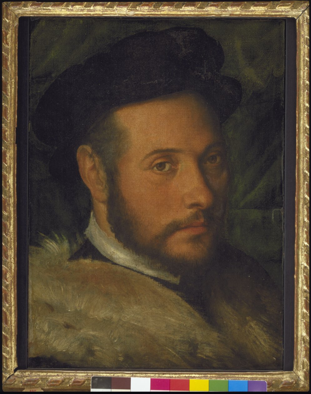 Portret mężczyzny autorstwa Callisto Piazza