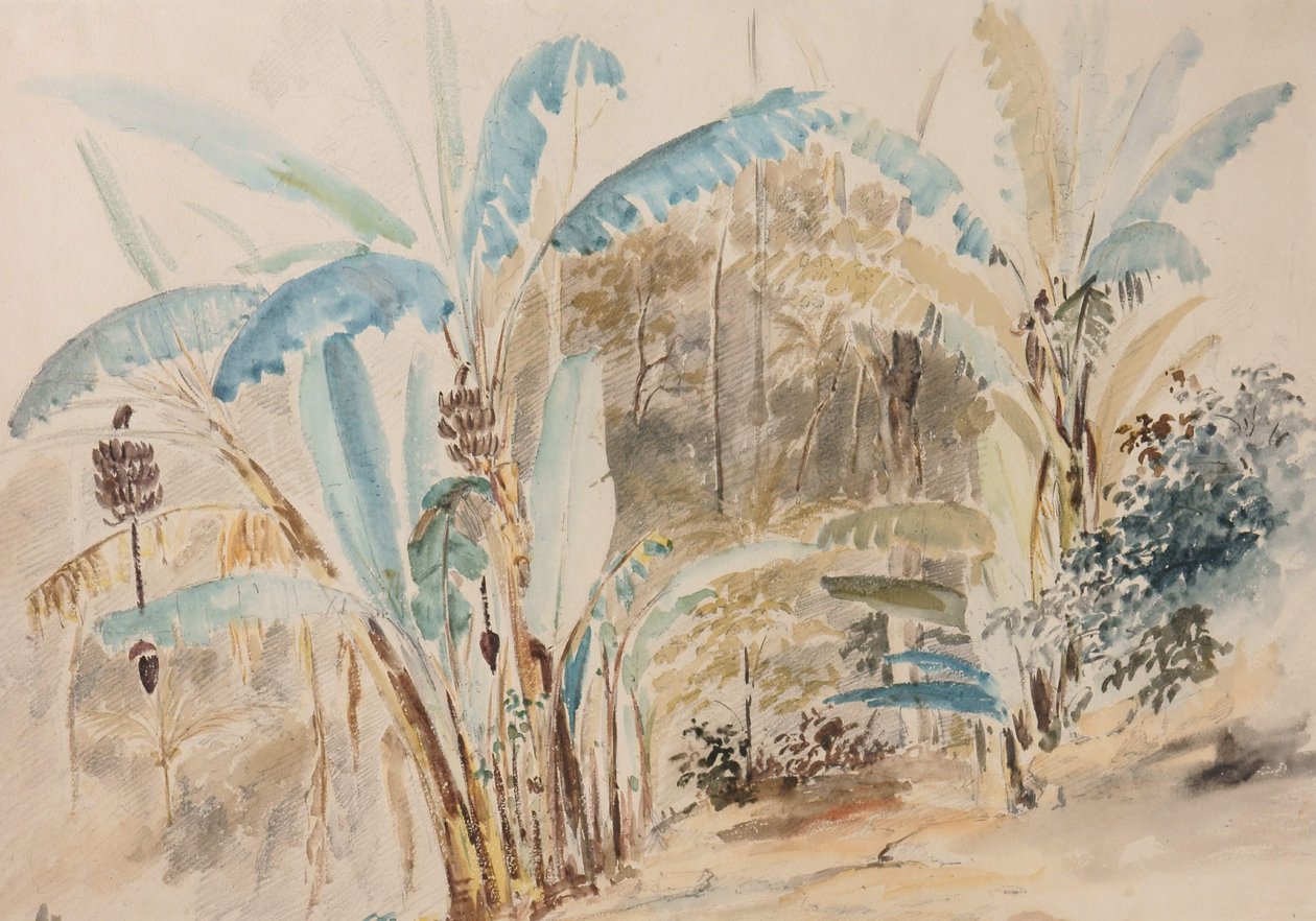 Bananowce autorstwa Camille Jacob Pissarro