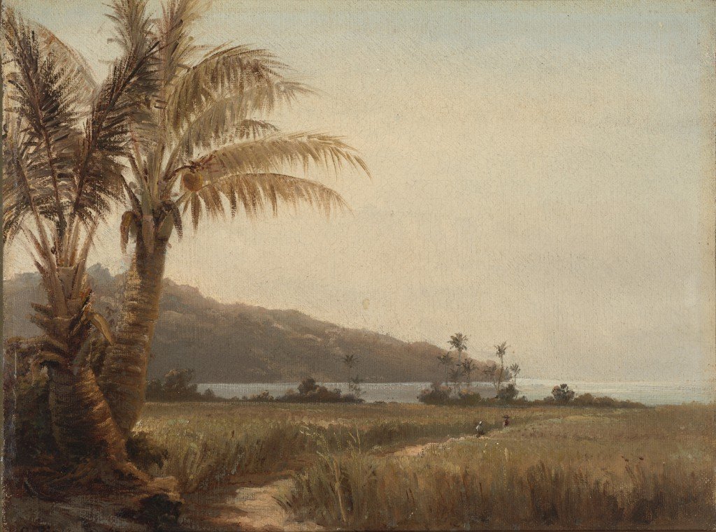 Palmy kokosowe nad morzem autorstwa Camille Jacob Pissarro