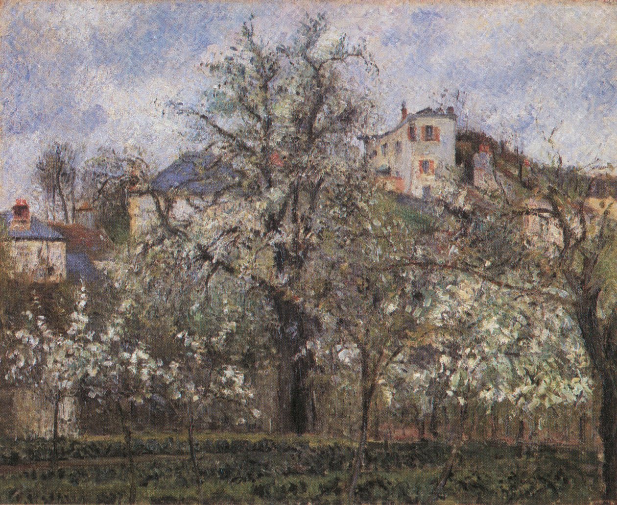 Ogród warzywny i kwitnące drzewa, wiosna, Pontoise autorstwa Camille Jacob Pissarro