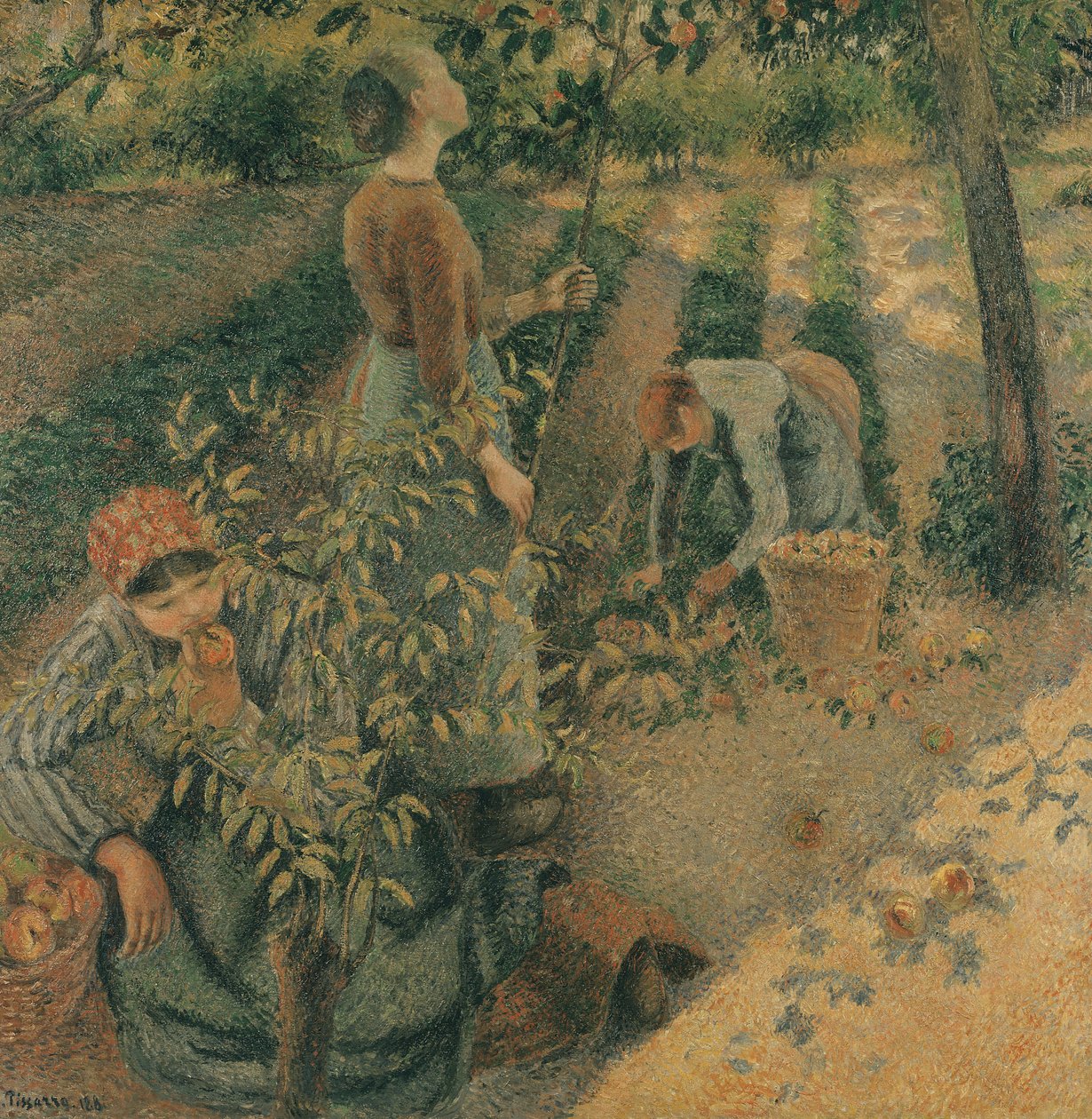 Zbieracze jabłek, 1886 autorstwa Camille Jacob Pissarro