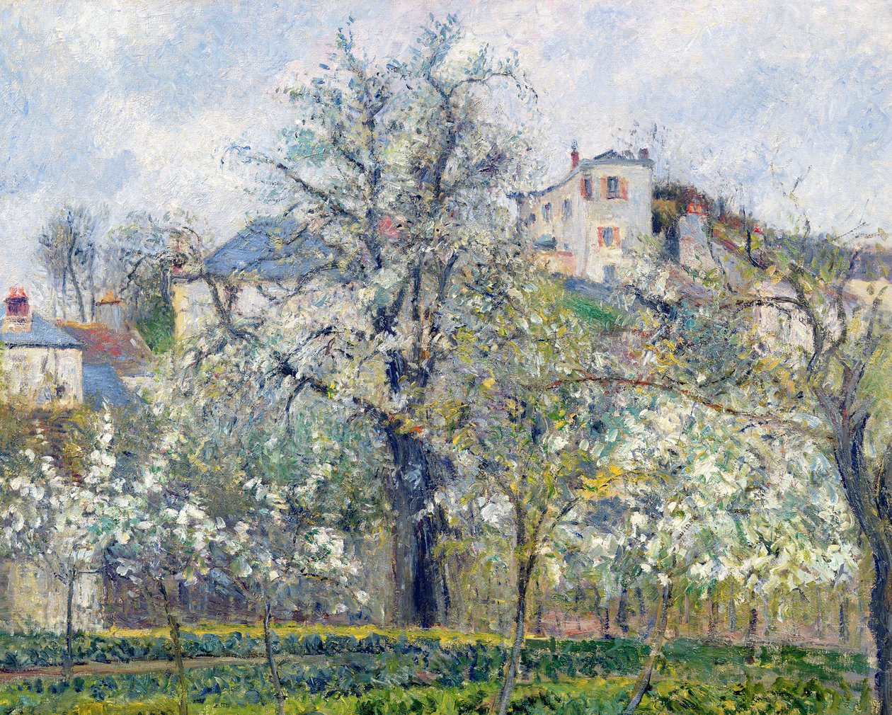 Ogród warzywny z kwitnącymi drzewami, wiosna, Pontoise, 1877 autorstwa Camille Jacob Pissarro