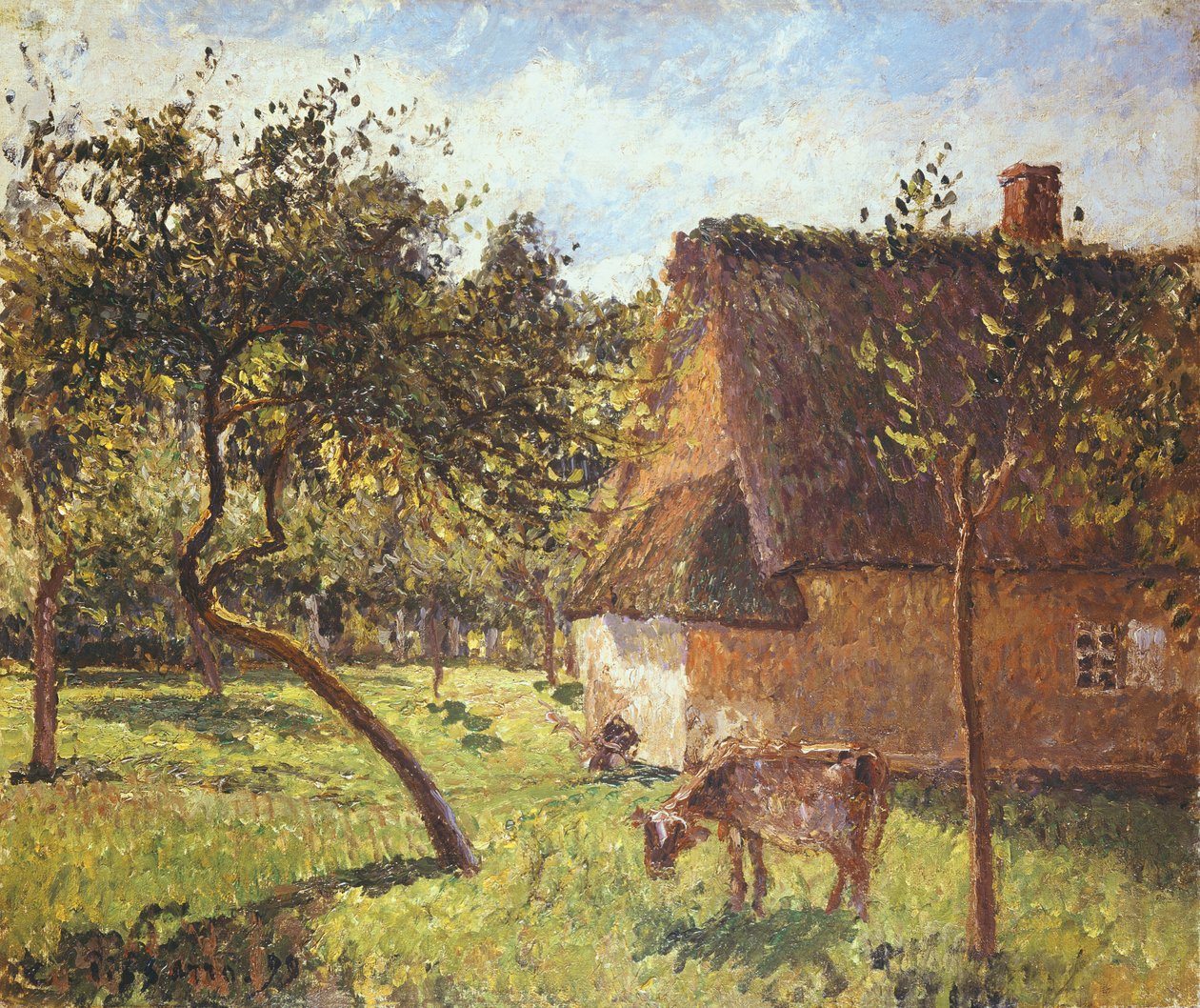 Pole w Varengeville, 1899 autorstwa Camille Jacob Pissarro
