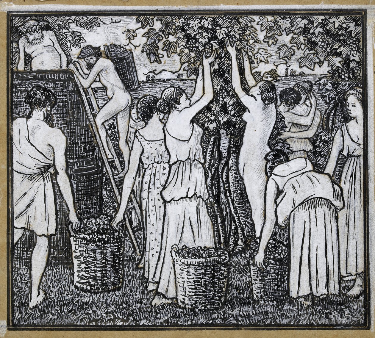 Zbiór winogron, studium kompozycyjne do ilustracji do „Daphnis i Chloë”, ok. 1930 r. 1895 (długopis i indyjski tusz na ołówku z chińską bielą na kalce technicznej ułożonej na kartonie) autorstwa Camille Jacob Pissarro