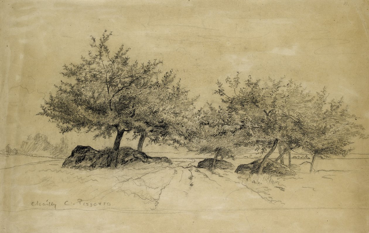 Recto: Chailly, ok. godz. 1859 (węgiel na beżowym papierze) autorstwa Camille Jacob Pissarro