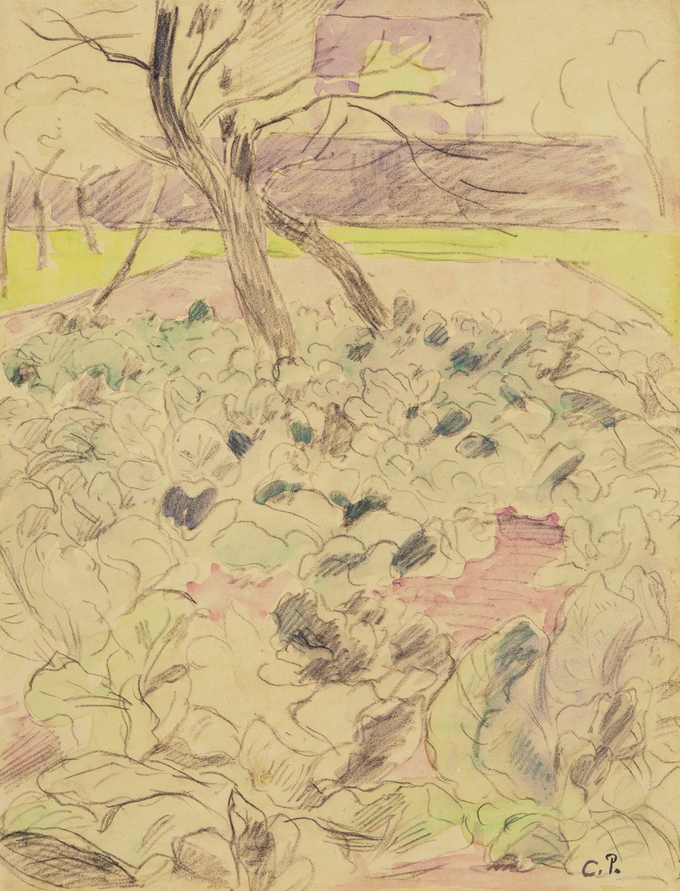 Pole kapusty, ok. 1880 (ołówek i wc na papierze) autorstwa Camille Jacob Pissarro