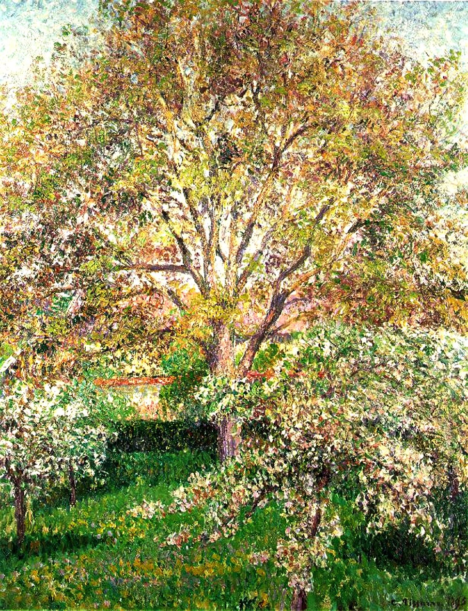 Drzewa w rozkwicie w Eragny, 1895 autorstwa Camille Jacob Pissarro