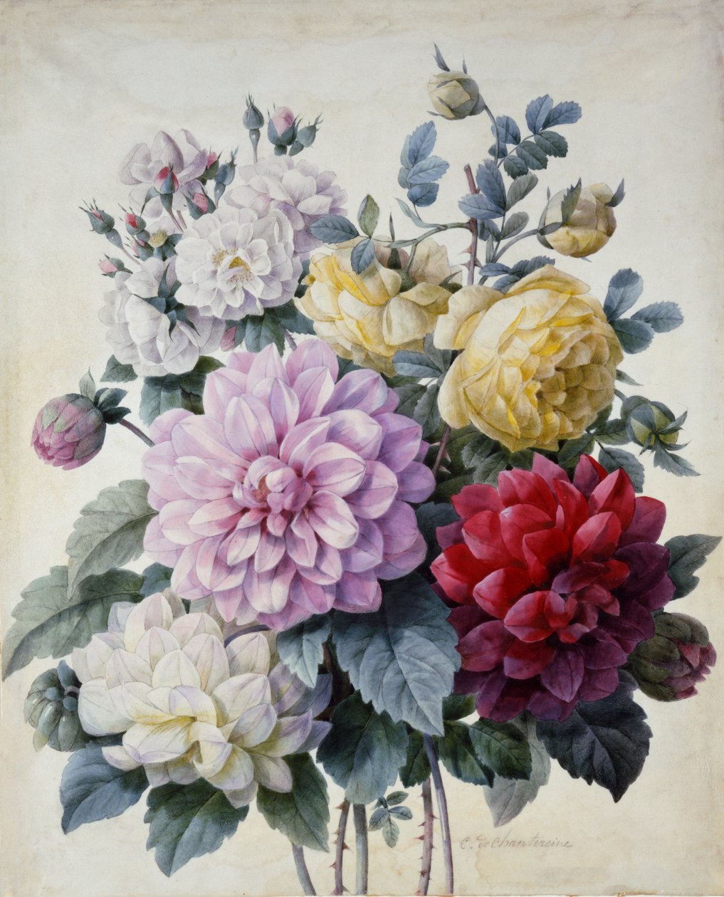 Bukiet kwiatów, dalii i róż, opublikowany ok. 1830-40 (kropka grawerowana ręcznie kolorowana) autorstwa Camille de Chantereine