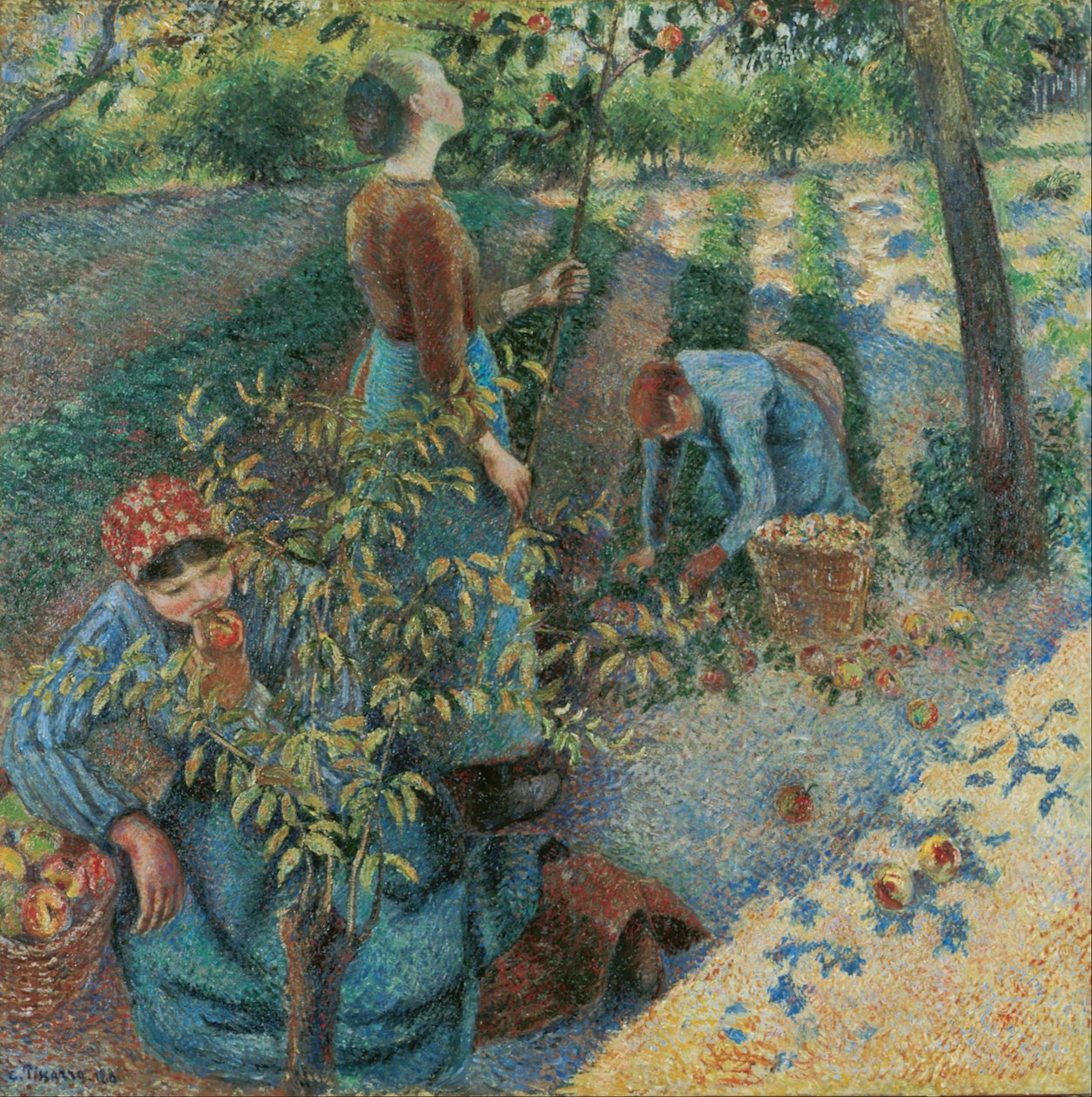 Zbieranie jabłek autorstwa Camille Jacob Pissarro