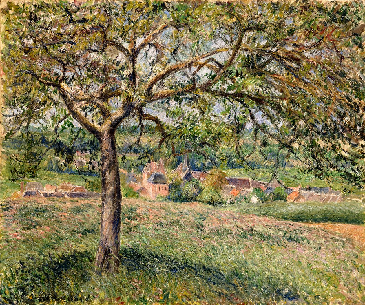Jabłoń w Eragny, 1884 autorstwa Camille Jacob Pissarro