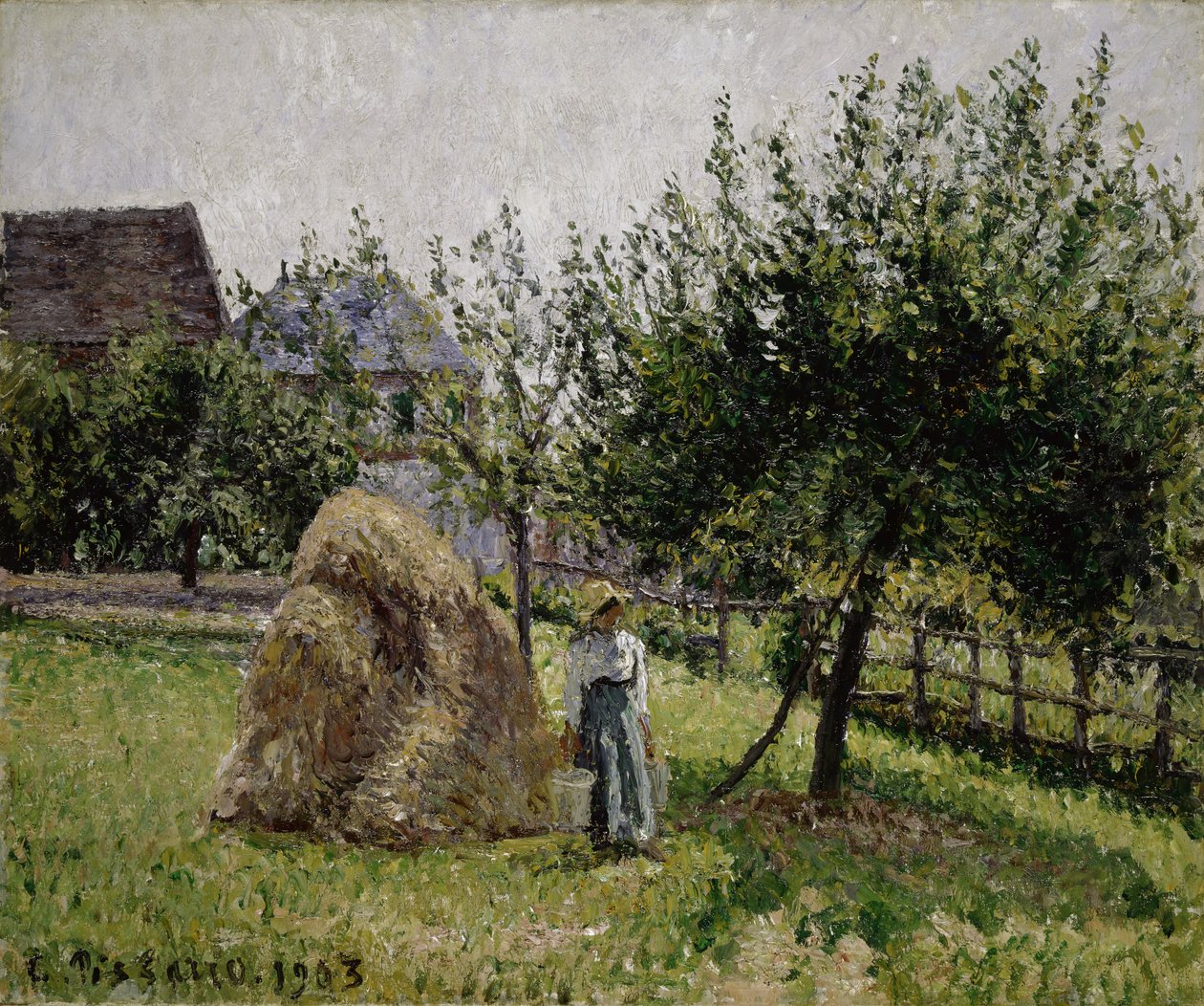 Jabłonie w Eragny, słoneczny poranek, 1903 autorstwa Camille Jacob Pissarro