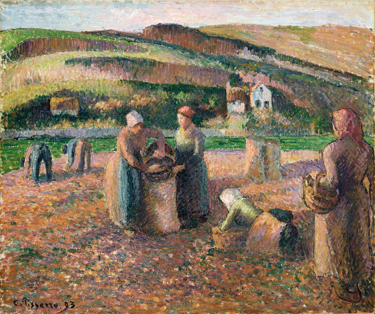 Zbieranie ziemniaków, 1893 autorstwa Camille Jacob Pissarro
