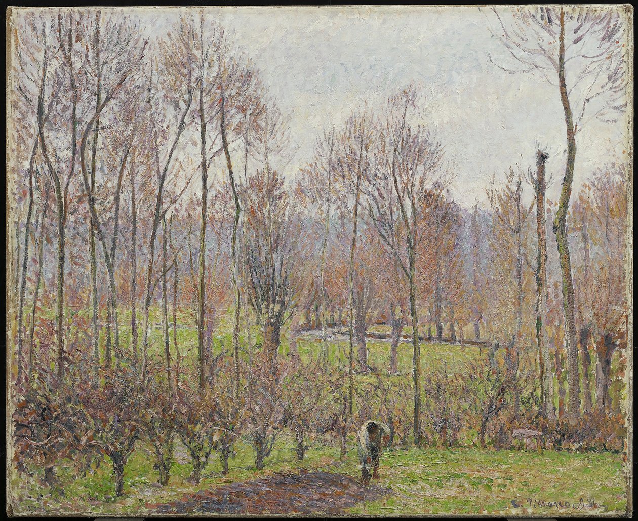 Topole, szara pogoda, Eragny, 1895 autorstwa Camille Jacob Pissarro