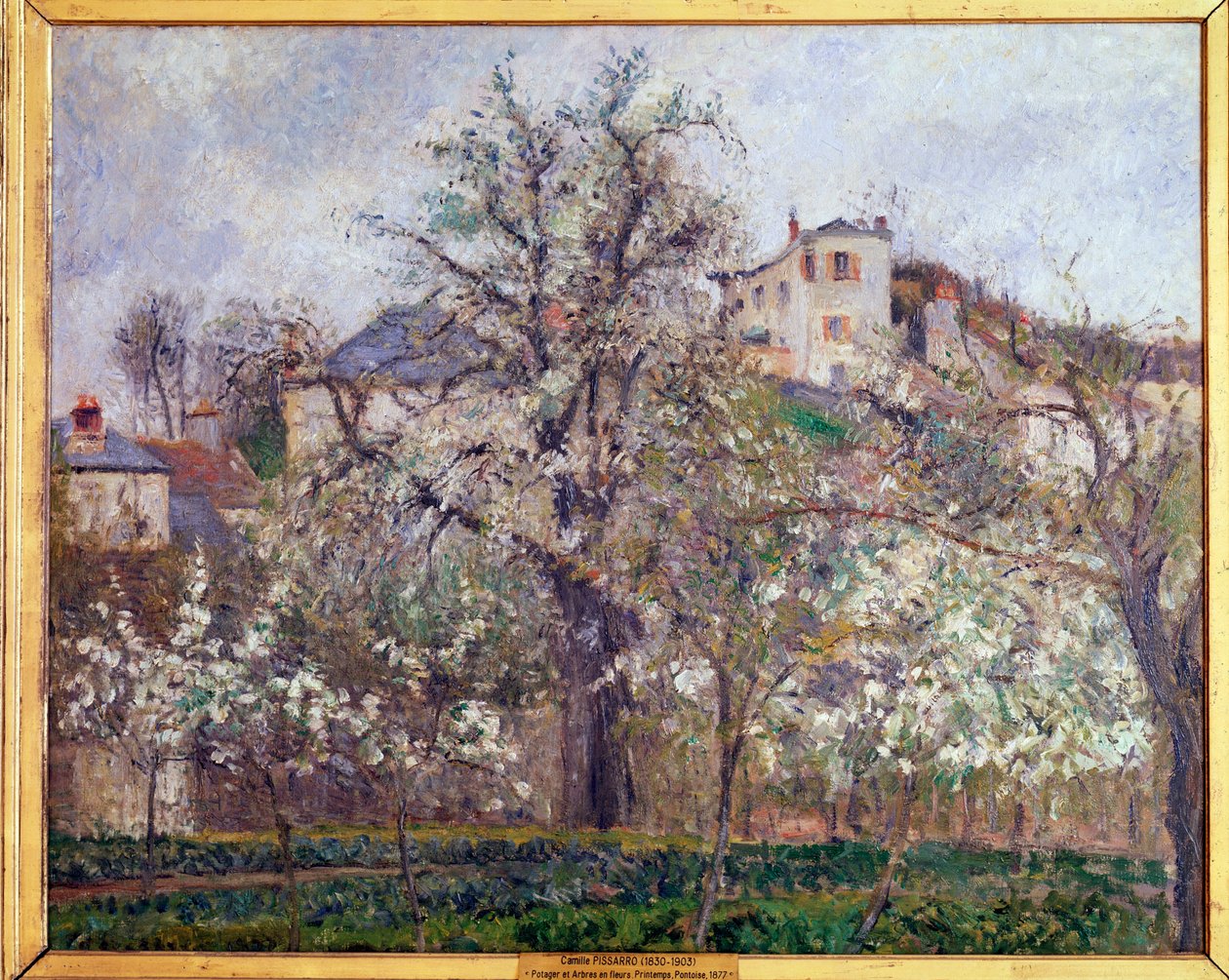 Wiosna, kwiaty śliwy w Pontoise - olej na płótnie autorstwa Camille Jacob Pissarro