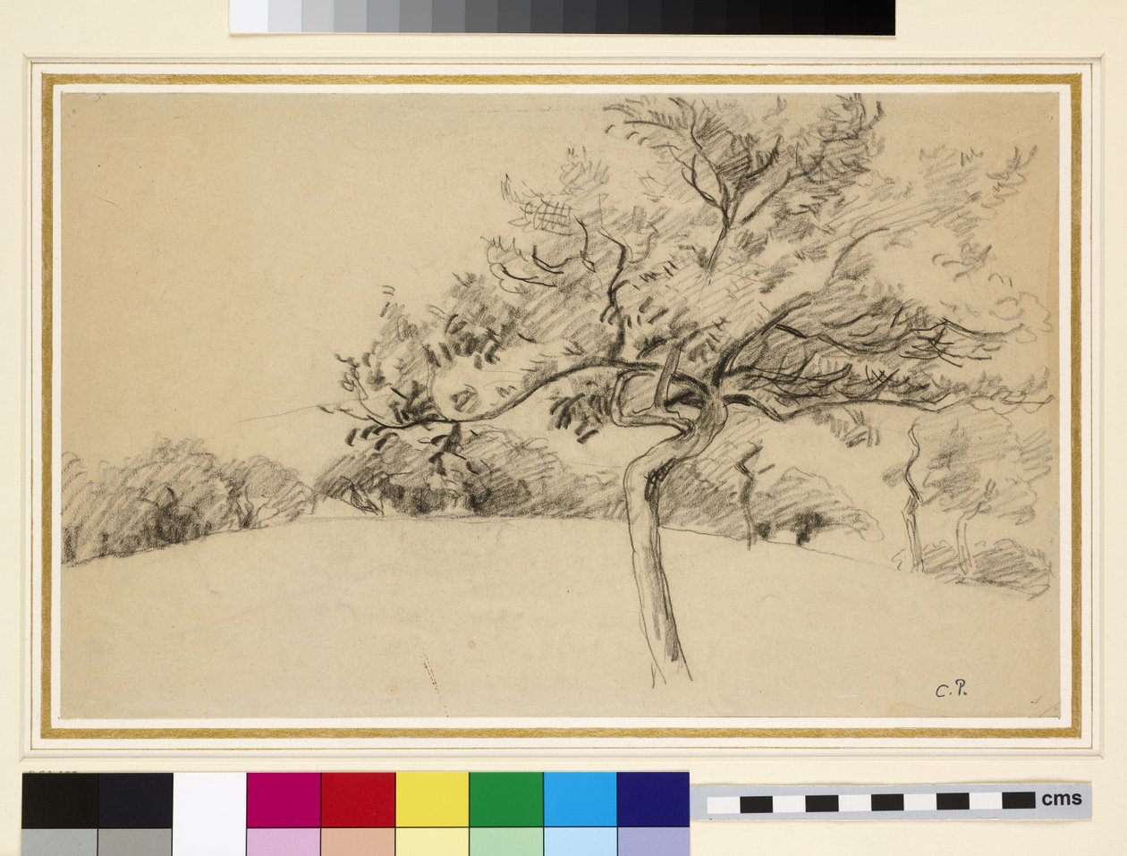 Studium sadu w Eragny-sur-Epte z drzewem na pierwszym planie (czarna kreda na papierze) autorstwa Camille Jacob Pissarro