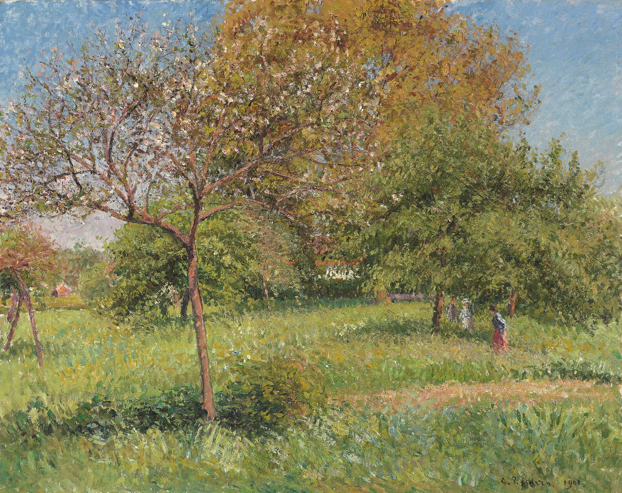 Wielki Orzech, Rano, Eragny; Le Grand Noyer, Poranek, Eragny, 1901 autorstwa Camille Jacob Pissarro