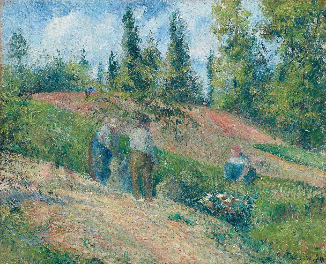Żniwa, Pontoise, 1880 autorstwa Camille Jacob Pissarro