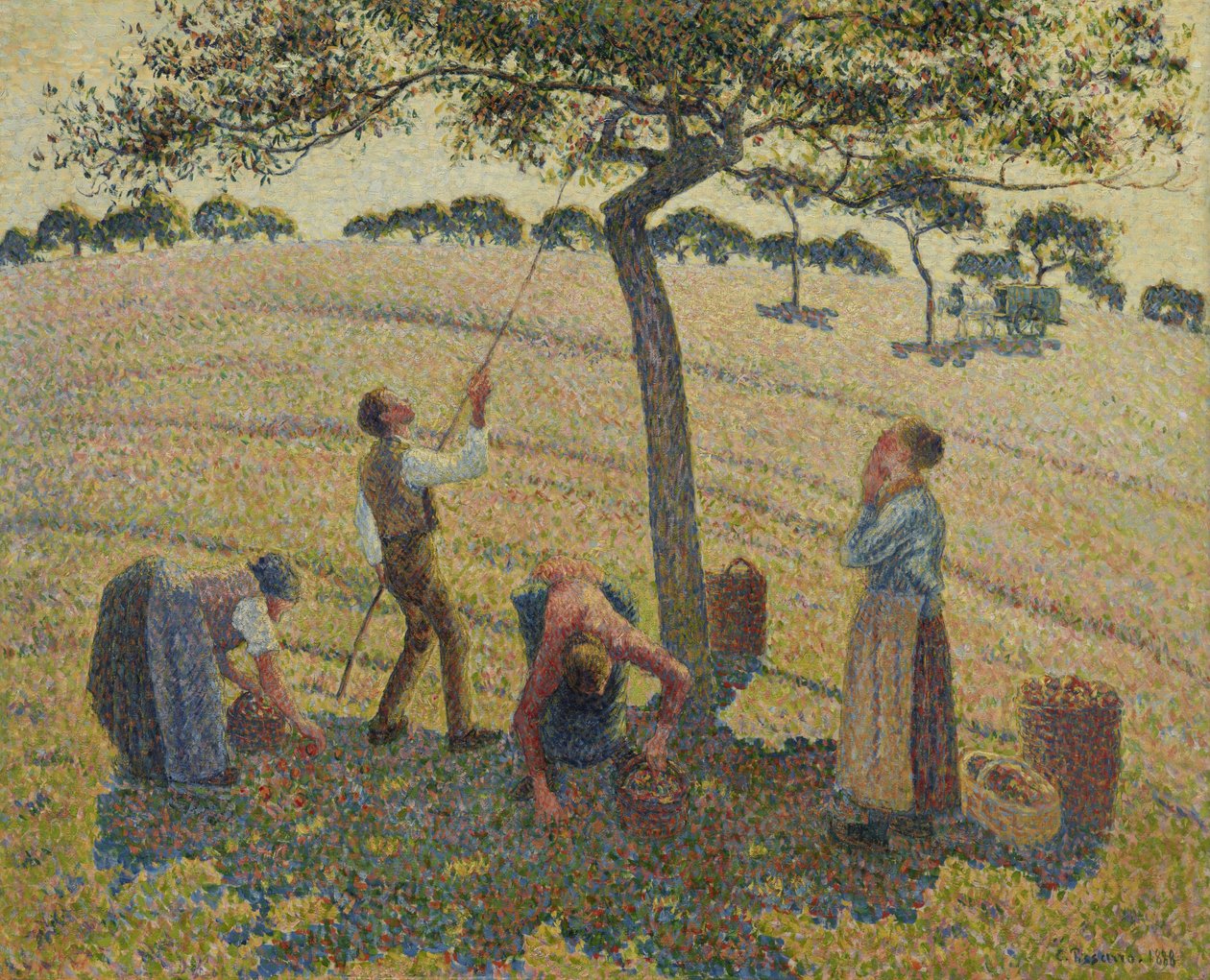 Zbiory jabłek autorstwa Camille Jacob Pissarro
