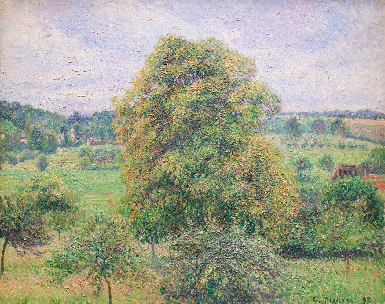 Grande nogueira em Eragnypolish autorstwa Camille Pissarro